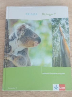  Schulbuch