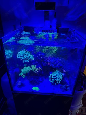 Meerwasseraquarium Reefer G200+ 