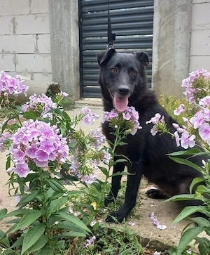 Mia, 4 Jahre, lieb, kann 4 h alleine bleiben