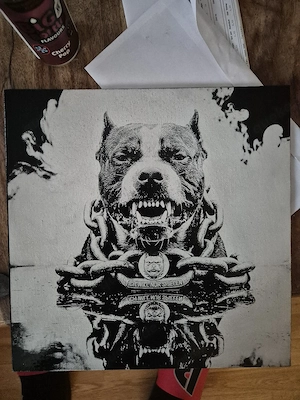 Pitbull auf Leinwand 25x25 cm 