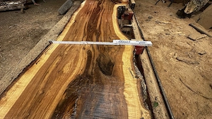Bohle, Vollstammplatte Eiche