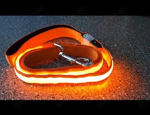 Led Leine Orange  Bild 1