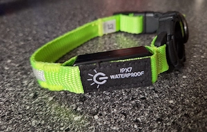 Led Halsband grün 