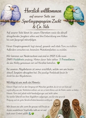 Schwarzköpfchen Paid DS Bild 4
