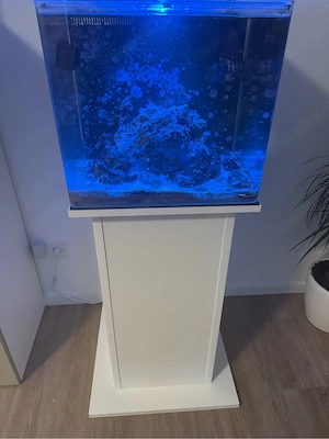 Meerwasseraquarium Redsea Nanocube