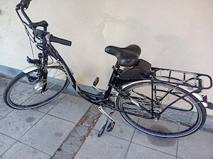 Damen E-Bike Viktoria 
