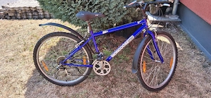 Fahrrad im guten Zustand