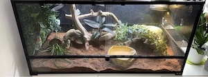 Terrarium mit Zubehör für Schlangen abzugeben 