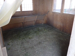 Offenstallplätze für 1 - 2 Ponys Kleinpferde (Wallach) frei  Bild 2