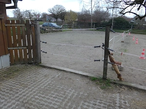 Offenstallplätze für 1 - 2 Ponys Kleinpferde (Wallach) frei  Bild 4