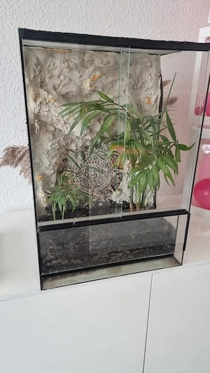 Terrarium 50x35x24.5