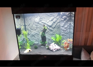 Juwel Lido 200 LED Aquarium + Unterschrank + CO  + viel Zubehör