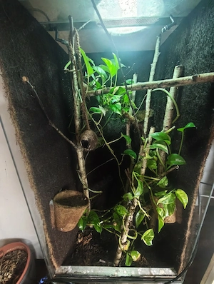 Terrarium 120x50x50