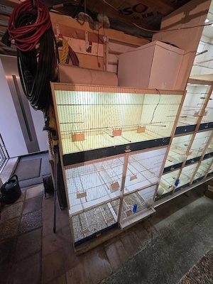 Graf Zuchtboxen vögel Bild 2