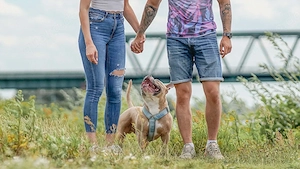    Familien für ein kostensloses Fotoshooting gesucht 