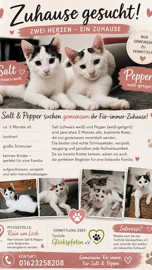 Salt und Pepper suchen ein Zuhause  