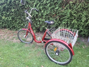 Schachner E-Bike Dreirad   Therapierad (Comfort) incl. 2 Akkus & Ladegeräte