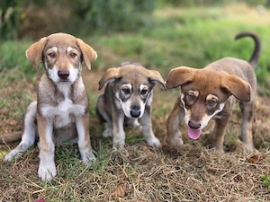 Bonny wartet darauf endlich von ihrer Familie gefunden zu werden  Bild 3