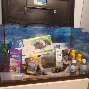 wasseraqarium Bild 3