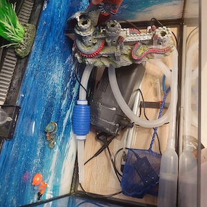 wasseraqarium Bild 5