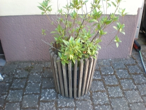 Großer Blumenkübel