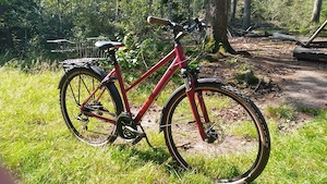 Cube Citybike Allroad Trapez zu verkaufen 