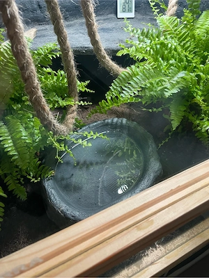 Terrarium 