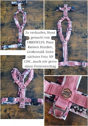 Hundegeschirr Hund Brustgeschirr Bild 2
