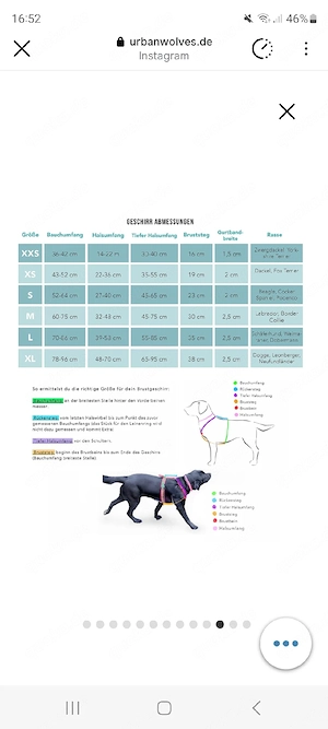 Hundegeschirr Hund Brustgeschirr Bild 3