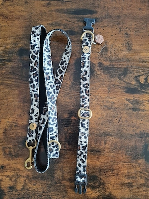 Hundehalsband Leine Set Hunde 