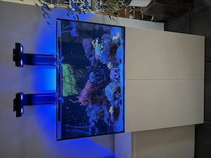 Marine X90.3 Meerwasseraquarium Komplettset