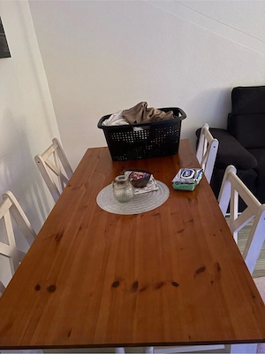 esstisch für wohnzimmer und für garten auch geeignet 