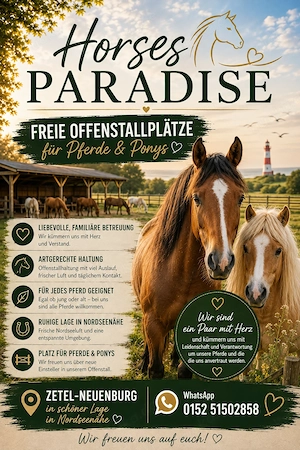 Offenstall für Kur, Rehe, Rentner oder Astmatiker Pferde 