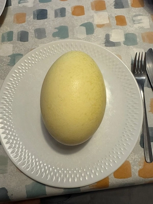 Nanduei, Nandu Ei, Ei vom Nandu