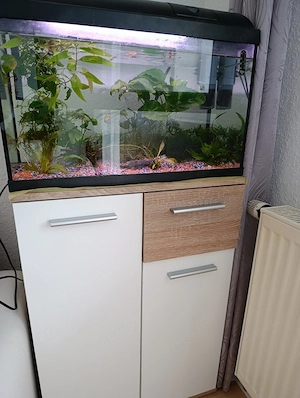 Komplettes Aquarium 
