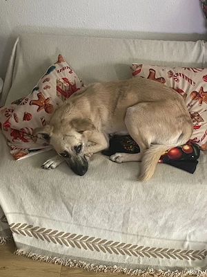 Ich bin eine tolle liebenswerte Lola Bild 9