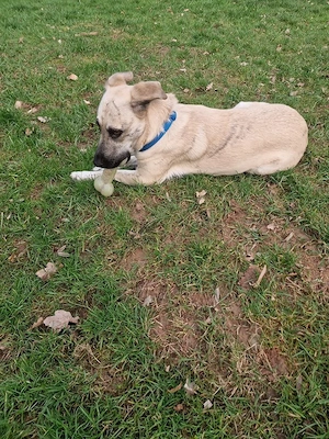 Ich bin eine tolle liebenswerte Lola Bild 4