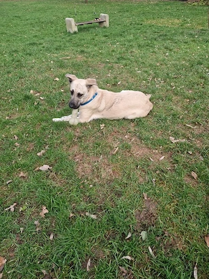 Ich bin eine tolle liebenswerte Lola Bild 6