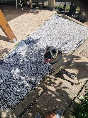 Ich bin eine tolle liebenswerte Lola Bild 5