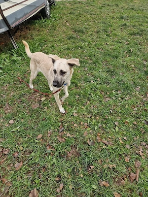 Ich bin eine tolle liebenswerte Lola Bild 8