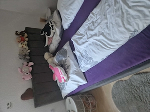 Verkaufe Art boxspringbett fast neu mit bettkasten aufklappbar
