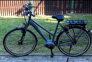 E Bike Gudereit EC4, 28 Zoll, Bosch Mittelmotor