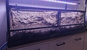 Terrarium 120 x 45 x 30 Bild 2
