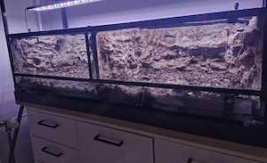 Terrarium 120 x 45 x 30 Bild 3