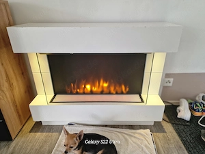 Elektronischer kamin