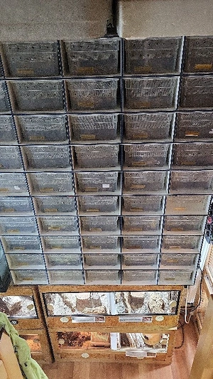 Reptilienrack