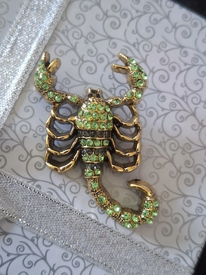 Brosche ,eleganter Skorpion