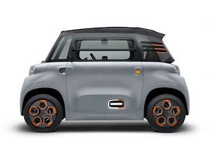 Bestseller 2025: Das Elektroauto Citro n Ami.