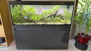 Aquarium Eheim Inspiria 530