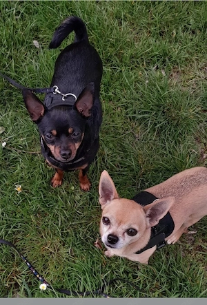 Jacky und Sammy